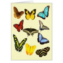 Tarjeta de felicitación de la mariposa