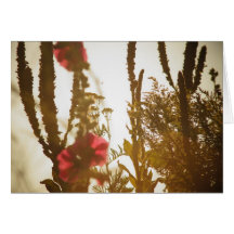Tarjeta de felicitación de la neblina del verano