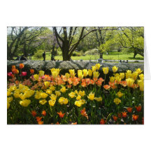 Tarjeta de felicitación de la opinión del jardín d