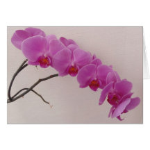 Tarjeta de felicitación de la orquídea