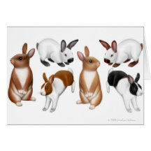 Tarjeta de felicitación de los conejos de Lotsa