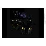 Tarjeta de felicitación de los gatos de Scaredy