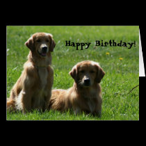 Tarjeta de felicitación de los perros perdigueros  tarjetas