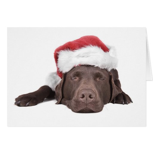 Tarjeta de felicitación de Navidad Labrador
