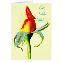 Tarjeta de felicitación de OneLittleAphid…