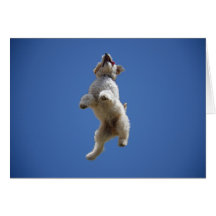 Tarjeta de felicitación de salto de Goldendoodle