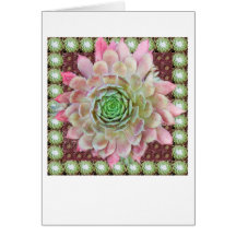 Tarjeta de felicitación de Sempervivum