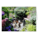 Tarjeta de felicitación de Sheltie
