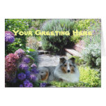 Tarjeta de felicitación de Sheltie