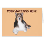 Tarjeta de felicitación de Sheltie