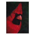 Tarjeta de felicitación de Sr. Red Cardinal Bird A