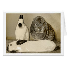 Tarjeta de felicitación de tres conejitos