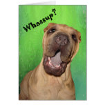 Tarjeta de felicitación de Whassup