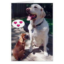 Tarjeta de felicitación del amor (con los perros)