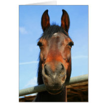 Tarjeta de felicitación del caballo de Brown oscur