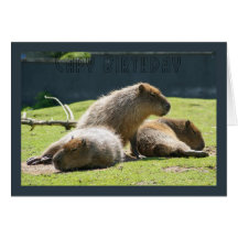 Tarjeta de felicitación del Capybara - cumpleaños 