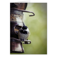 Tarjeta de felicitación del Chickadee