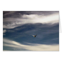 Tarjeta de felicitación del cielo de la gaviota