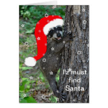 Tarjeta de felicitación del Coon de Santa del bebé