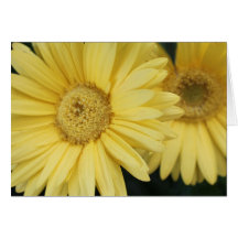 Tarjeta de felicitación del día de fiesta, flores 