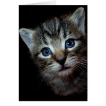 Tarjeta de felicitación del gatito del Tabby