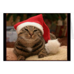 Tarjeta de felicitación del gato de Santa