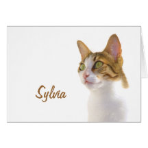 Tarjeta de felicitación del gato de Suki