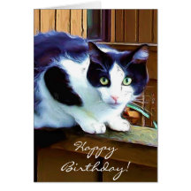 Tarjeta de felicitación del gato del feliz cumplea