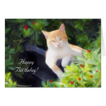 Tarjeta de felicitación del gato del feliz cumplea