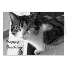 Tarjeta de felicitación del gato del feliz cumplea