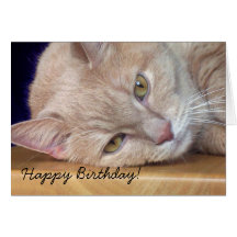 Tarjeta de felicitación del gato del feliz cumplea