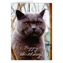 Tarjeta de felicitación del gato del feliz cumplea