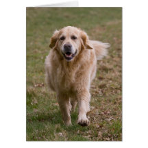 Tarjeta de felicitación del golden retriever