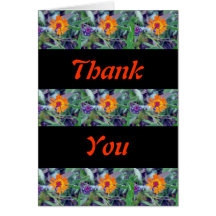 Tarjeta de felicitación del Hawkweed anaranjado 1