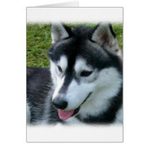 Tarjeta de felicitación del husky siberiano