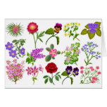 Tarjeta de felicitación del jardín de flores