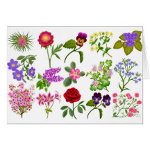 Tarjeta de felicitación del jardín de flores
