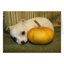 Tarjeta de felicitación del perrito de Halloween