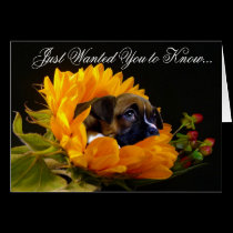 Tarjeta de felicitación del perrito del boxeador d tarjetas