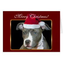 Tarjeta de felicitación del perrito del pitbull de