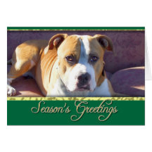 Tarjeta de felicitación del perro de Pitbull de lo