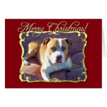 Tarjeta de felicitación del perro del pitbull de l