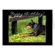 Tarjeta de felicitación del Pinscher del Doberman 