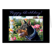 Tarjeta de felicitación del Pinscher del Doberman 