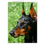 Tarjeta de felicitación del Pinscher del Doberman