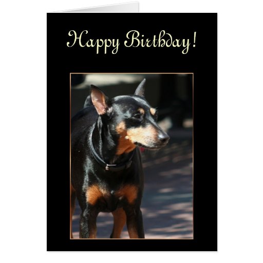 Tarjeta de felicitación del Pinscher miniatura del