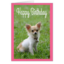 Tarjeta de felicitación del rosa del perrito de la