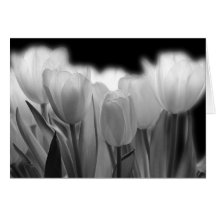 Tarjeta de felicitación del tulipán