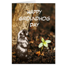 Tarjeta de felicitación elegante de la primavera d