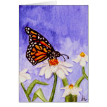 Tarjeta de felicitación en blanco de la mariposa 1